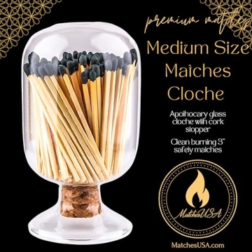 Elegant Glass Cloche Match Holder for Home Decor