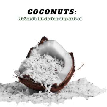 Roasted Coconut Crackers by Wayfz - All-in-One Goodness: Vegan Crackers, Gluten Free Crackers, Dairy...