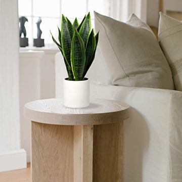 Briful 16" Fake Snake Plant for Low-Maintenance Indoor Decor