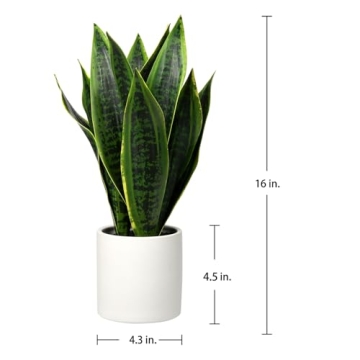 Briful 16" Fake Snake Plant for Low-Maintenance Indoor Decor