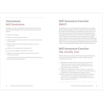 Emotional Intelligence for the Modern Leader: A Guide to Cultivating Effective Leadership and Organizations