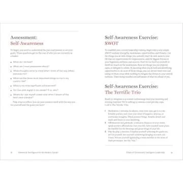 Emotional Intelligence for the Modern Leader: A Guide to Cultivating Effective Leadership and Organizations