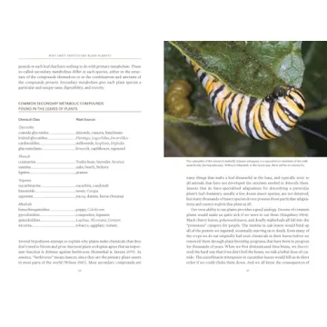 Transform Your Yard with Native Plants for Wildlife