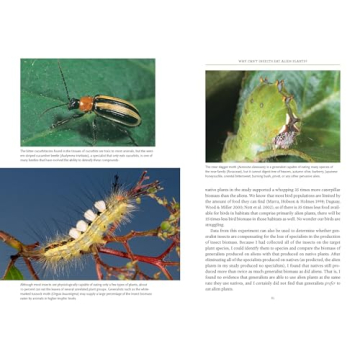 Transform Your Yard with Native Plants for Wildlife