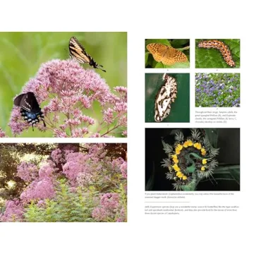 Transform Your Yard with Native Plants for Wildlife