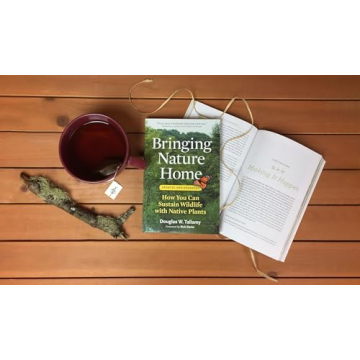 Transform Your Yard with Native Plants for Wildlife