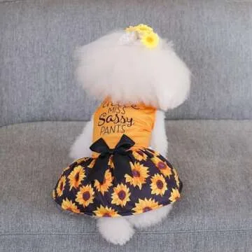 CuteBone Dog Mesh Dress for Small Dogs Summer Fashion