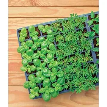 Burpee Self-Watering Seed Starter Kit for 72 Seedlings