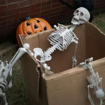 36 Inch Poseable Skeleton Decor for Halloween Fun