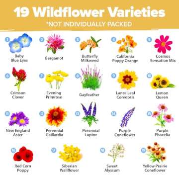 HOME GROWN Wildflower Seeds (3oz) - 89,000+ Non-GMO Flower Seed Mix, USA-Sourced for Butterfly & Pol...