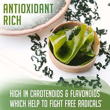 XPRS Nutra Organic Kelp Powder - Seaweed Superfood for Thyroid Health