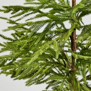 Afloral Artificial Norfolk Pine Tree - 36"