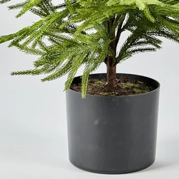 Afloral Artificial Norfolk Pine Tree - 36"