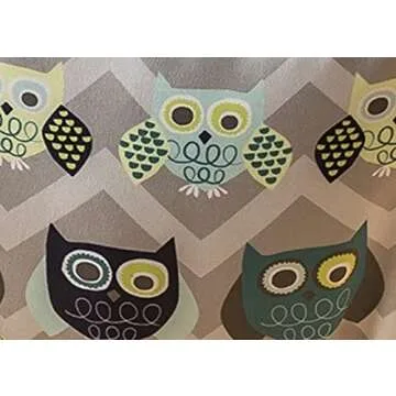 Evenflo Exersaucer Johnny Jumper Featuring Easy-to-Use Clamp Attachment for Quick and Tool-Free Set Up and Adjustable Straps to Customize the Height for Your Child, Owl