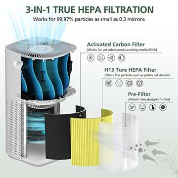 Core 600S Pet Filter H13 True HEPA Filter for LEVOIT Core 600S Air Purifier, Core 600S-RF Replacement Filter, 2 Pack