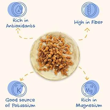 Sunny Fruit Soft Organic Turkish Dried Mulberries - 1 Bag (5 Individual Portion Packs) | Healthy, Convenient Superfood Snack Packs | ORGANIC, NON-GMO, VEGAN, HALAL, NO PRESERVATIVES, NO SUGAR ADDED