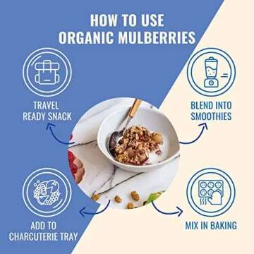 Sunny Fruit Soft Organic Turkish Dried Mulberries - 1 Bag (5 Individual Portion Packs) | Healthy, Convenient Superfood Snack Packs | ORGANIC, NON-GMO, VEGAN, HALAL, NO PRESERVATIVES, NO SUGAR ADDED