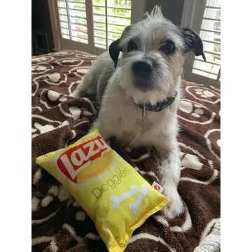 SPOT Lazy Doggie Chips: Fun Food Toy for Dogs 8In