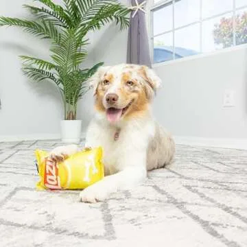 SPOT Lazy Doggie Chips: Fun Food Toy for Dogs 8In