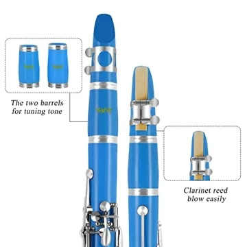 VANPHY Bb Clarinet for Beginners - Stylish and Reliable
