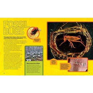 Ultimate Bugopedia: The Most Complete Bug Reference Ever (National Geographic Kids)