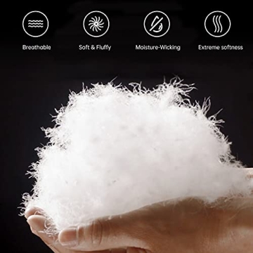 Three Geese Premium All-Seasons King Size Comforter