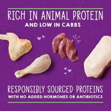 Stella & Chewy's Carnivore Cravings Minced Morsels Cans – Grain Free, Protein Rich Wet Cat Food – Cage-Free Chicken & Duck Recipe – (2.8 Ounce Cans, Case of 24)
