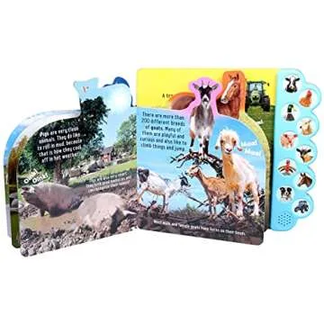 Discovery: Oink on the Farm! 10-Button Sound Fun