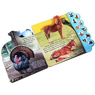 Discovery: Oink on the Farm! 10-Button Sound Fun