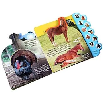 Discovery: Oink on the Farm! 10-Button Sound Fun