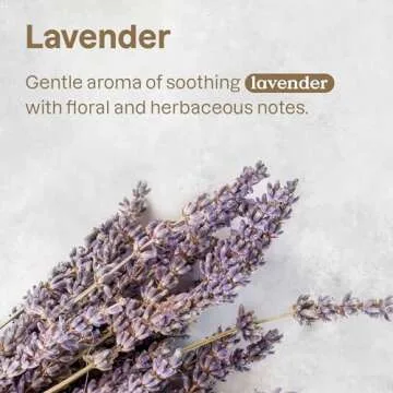 ATTITUDE Deodorizing Dog Shampoo - Vegan Lavender Care