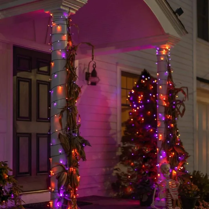 Halloween 300 LED String Lights - 100FT, 8 Modes