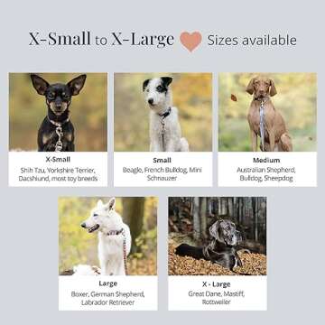 Lucky Love Dog Collars for Large Dogs Rainbow Pattern, Colorful Girl or Boy Dog Collar for Large Dogs, Rainbow Stripes, Hippie, Large