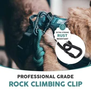 Embark Sierra Dog Lead - Durable Dog Leash for Adventure