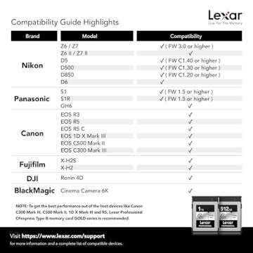 Lexar 512GB Professional Silver SE CFexpress Type B Memory Card, for Photographers, Videographers, Up to 1700/1250 MB/s, 8K Video (LCXEXSE512G-RNENU)