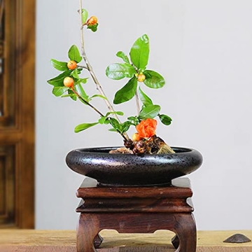 Beautiful CRAFFANCY Ikebana Ceramic Vase Kit for Home