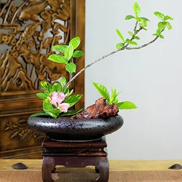 Beautiful CRAFFANCY Ikebana Ceramic Vase Kit for Home