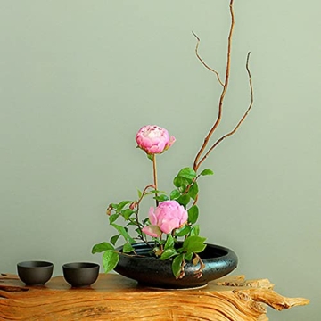 Beautiful CRAFFANCY Ikebana Ceramic Vase Kit for Home