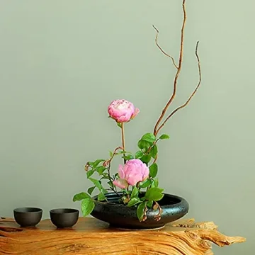 Beautiful CRAFFANCY Ikebana Ceramic Vase Kit for Home