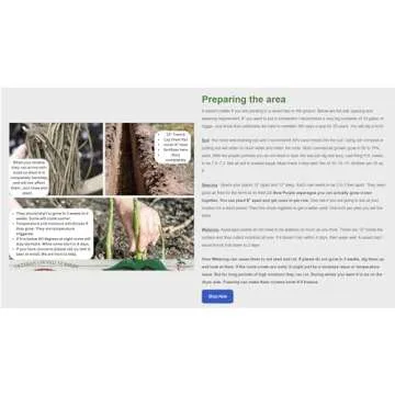 Hand Picked Nursery Mary Washington 5 Live Asparagus Bare Root Plants -2yr-Crowns - Free Plant Boost Included