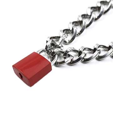 Succuba Padlock Necklace Metal Chain Collar Choker Heart Lock Necklace with Key and Box for Women, Men and Pet (B, 18)