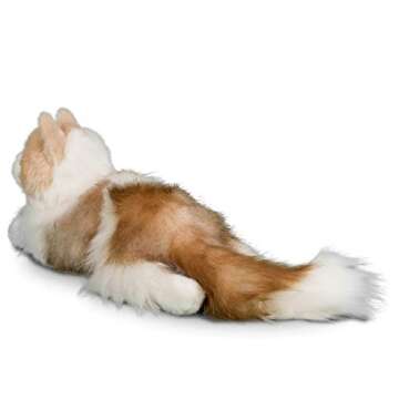 Realistic Douglas Kiki Ragdoll Cat Plush Animal