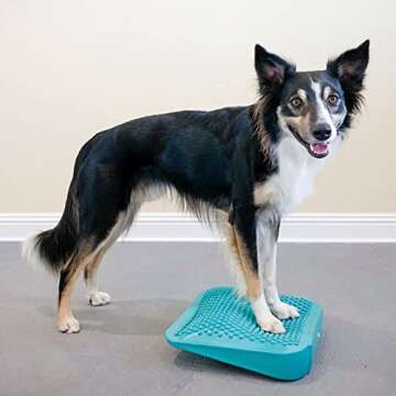 FitPaws® Balance Ramp - Dog Exercise Tool for Strength & Rehab