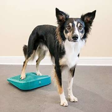 FitPaws Balance Ramp for Dog Fitness & Rehabilitation