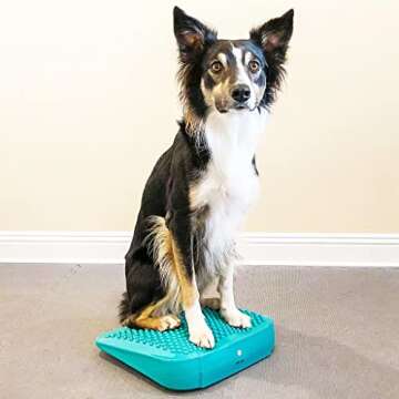 FitPaws Balance Ramp for Dog Fitness & Rehabilitation