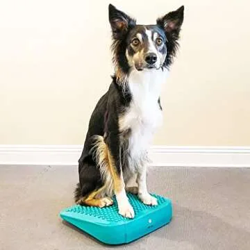 FitPaws Balance Ramp for Dog Fitness & Rehabilitation