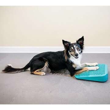 FitPaws Balance Ramp for Dog Fitness & Rehabilitation
