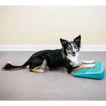 FitPaws Balance Ramp for Dog Fitness & Rehabilitation