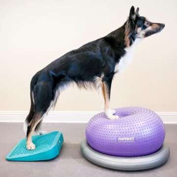 FitPaws Balance Ramp for Dog Fitness & Rehabilitation
