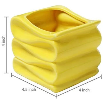Stylish Modern Yellow Mini Succulent Plant Pot Set